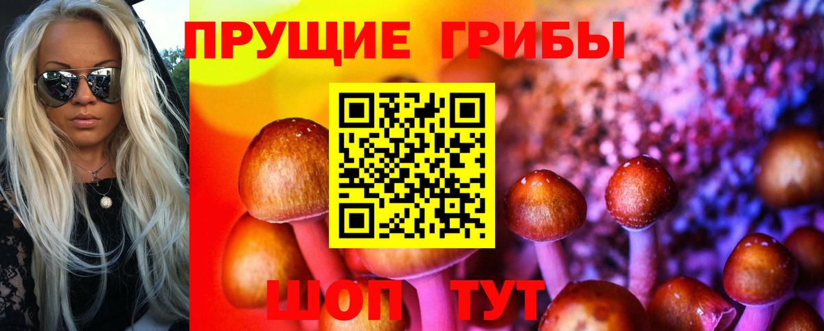 Галлюциногенные грибы MAGIC MUSHROOMS  Вход с VPN  Галлюциногенные грибы мухоморы  Сланцы 