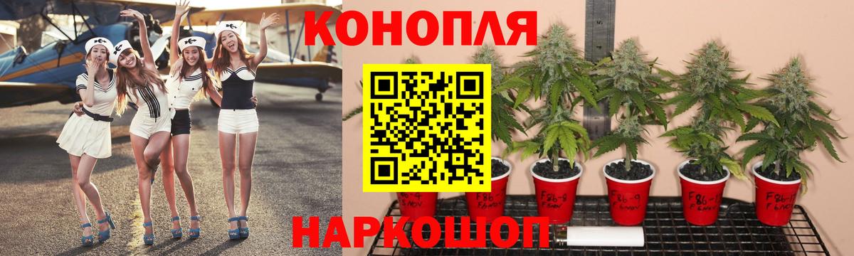 Конопля семена  Бошки марихуана семена  Сланцы  Вход с VPN  Марихуана план  Марихуана LSD WEED 